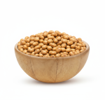 soybean gravel