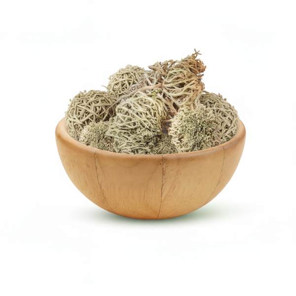 Rose of Jericho
