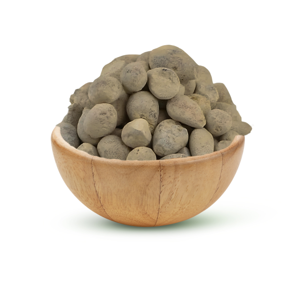 زيتونة فلسطيني ناعمه